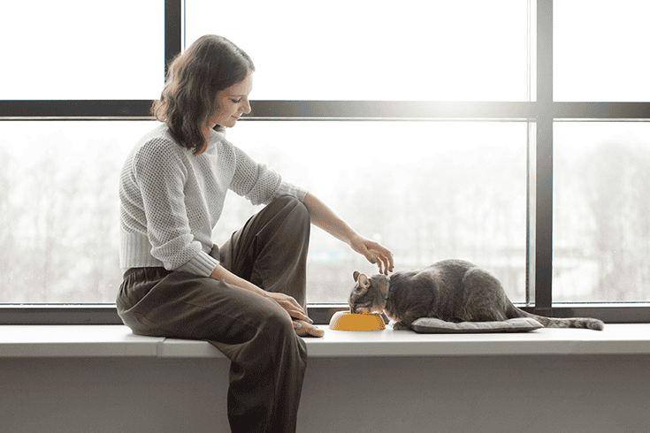  gain a cat’s trust