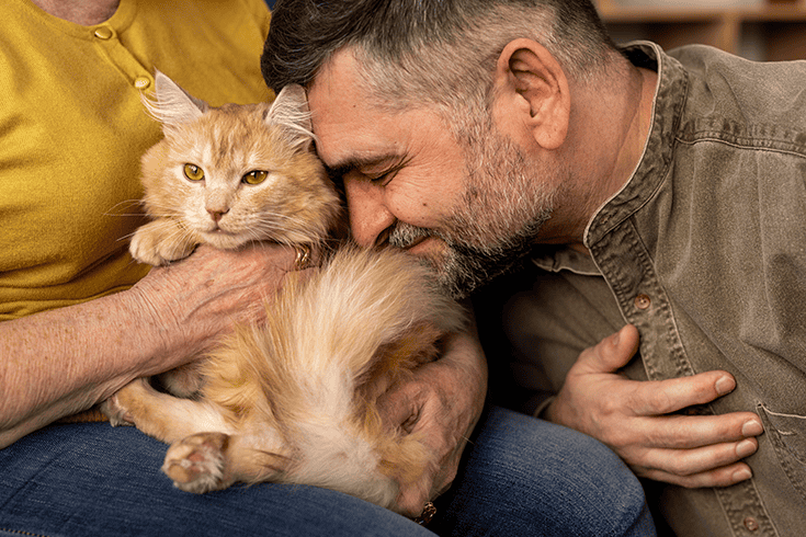 How to tame a wild cat