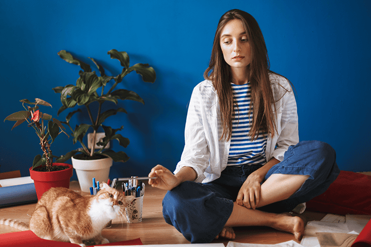 taming a wild cat at home