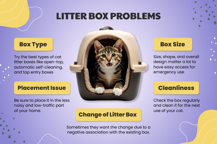 Cat Litter box problems