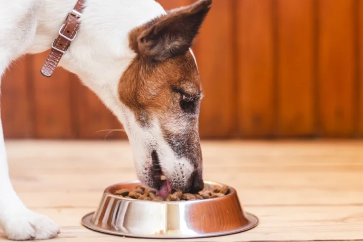 pure balance dog food