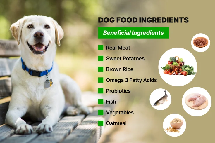 limited ingredient dog food​

