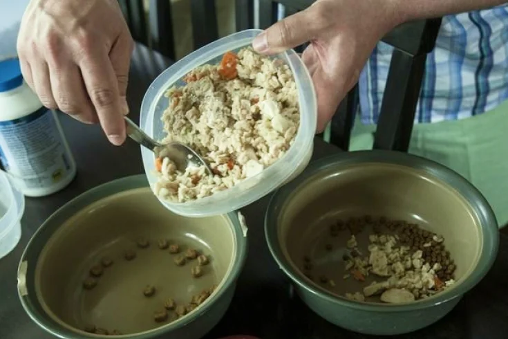 Homemade dog food